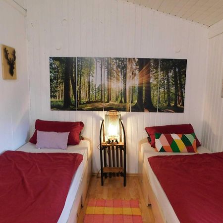 Ferienhaus Bussard Gammelsbach 外观 照片