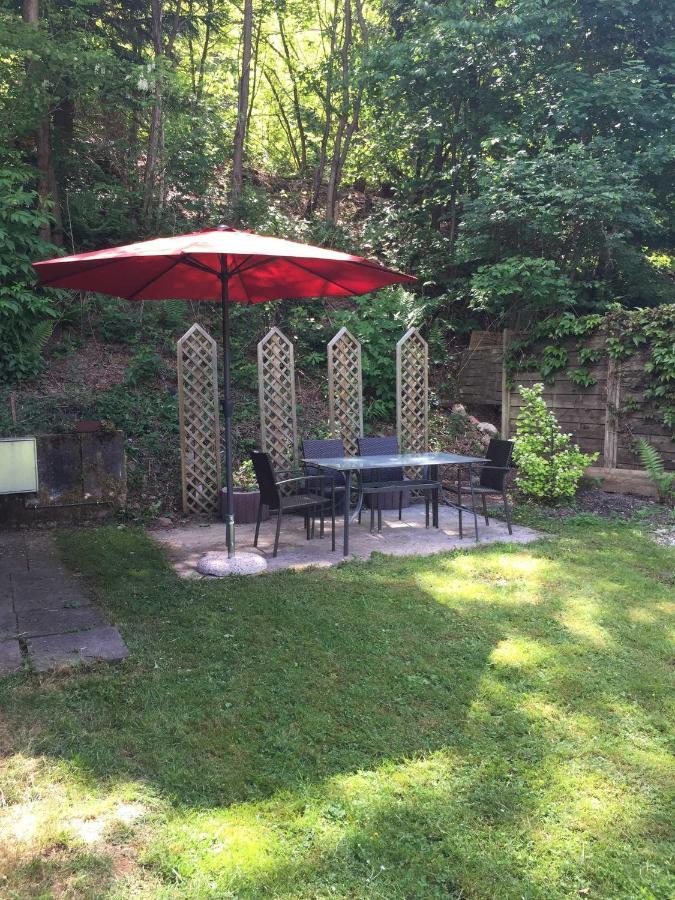 Ferienhaus Bussard Gammelsbach 外观 照片