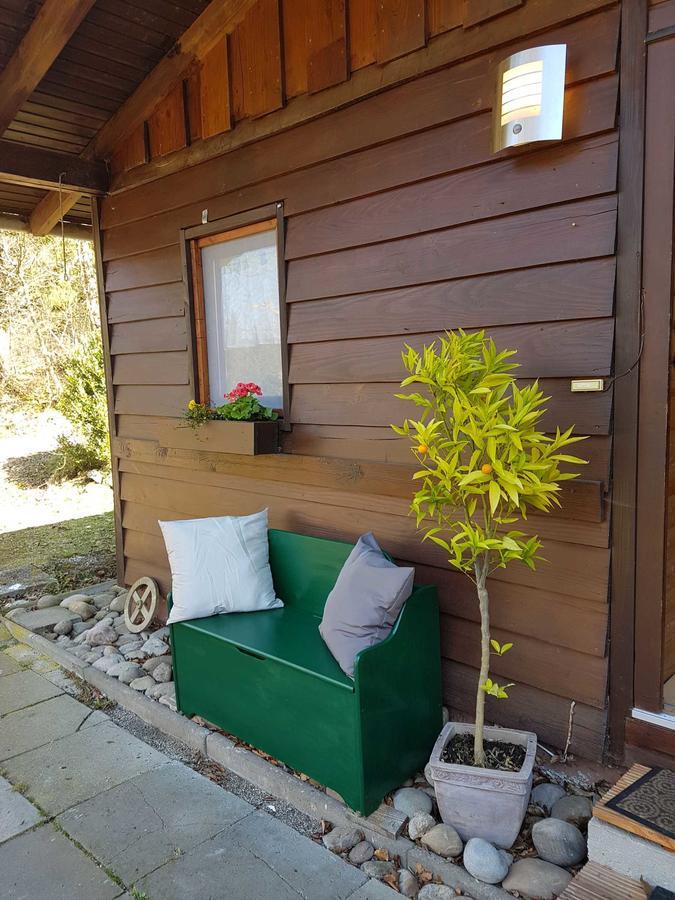 Ferienhaus Bussard Gammelsbach 外观 照片